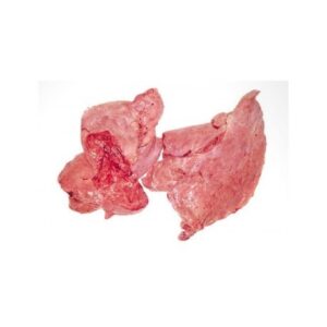 Cow Lungs
