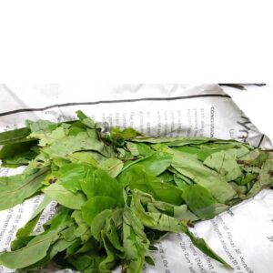 Fresh Oha Leaves