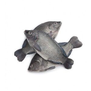 Frozen Tilapia