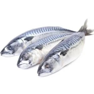 Mackerel Whole 300-500 Box 20kg