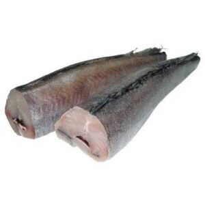 Hake Fish