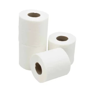 Toilet Paper Rolls