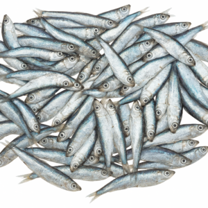 Whole Sprat Box (1kg x 10)