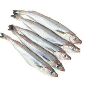 Whiting (Small Panla) Box 20kg